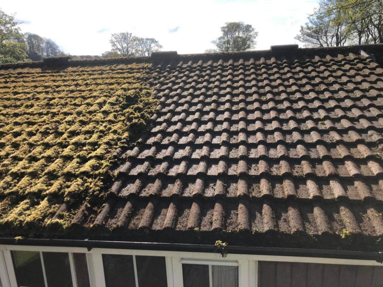 Moss Removal & Roof Cleaning — Alpha Roofcare West Sussex & Surrey